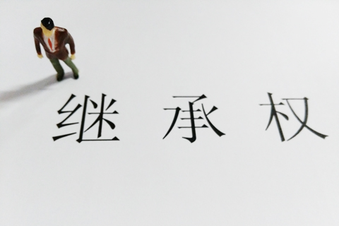   兄弟姐妹继承权如何分配【继承的注意事项】
